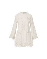 Amberg Lace Mini Dress